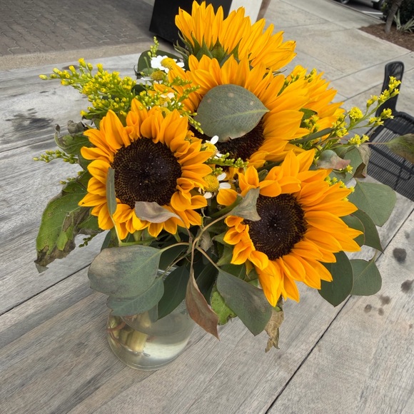 Bundle 🌻 - Picture 1 of 1